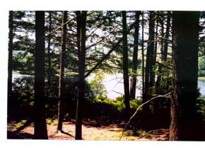 0 Mountain Road Salisbury, NH 03054 - Photo 2 of 5