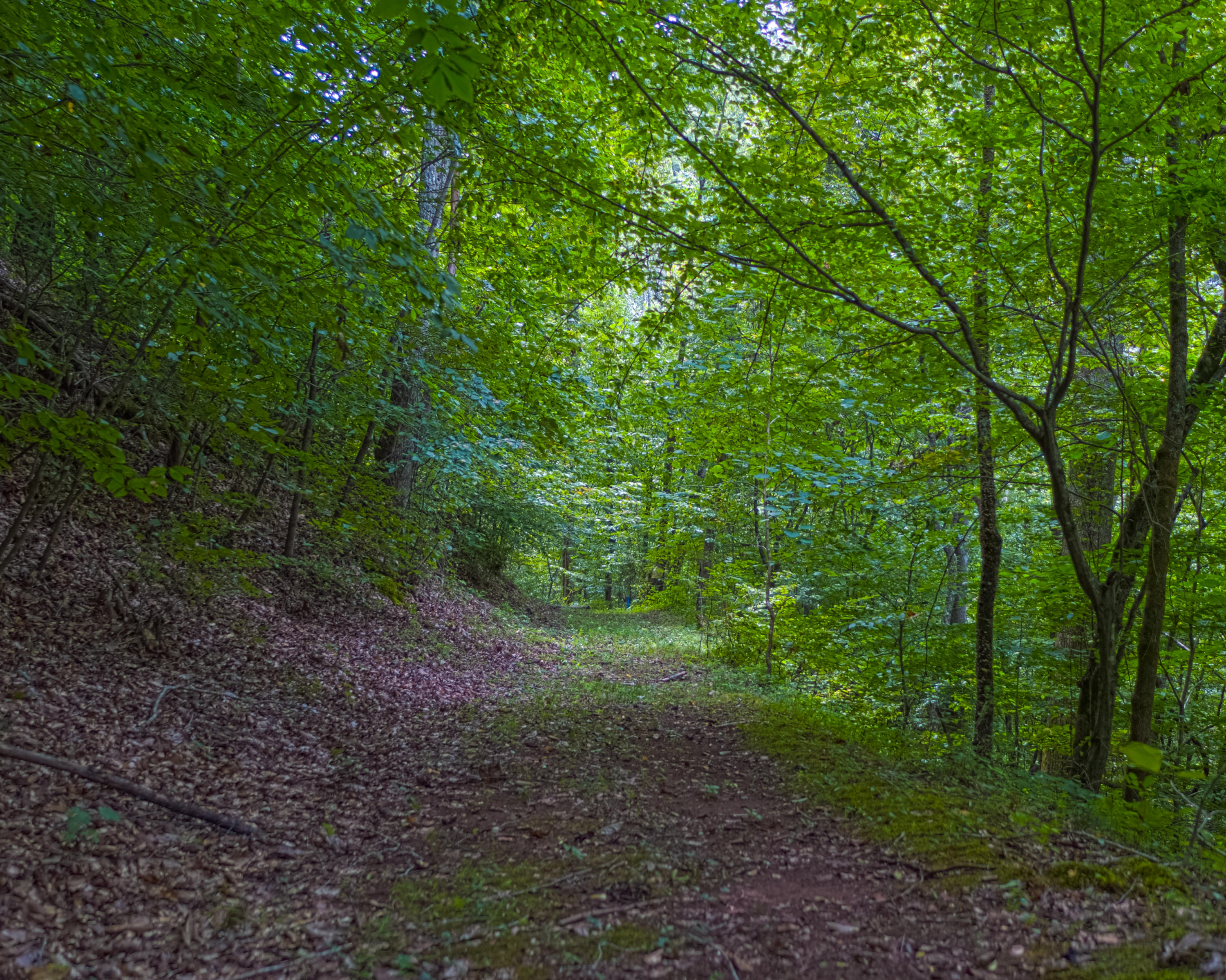 Acorn Gap Road Sweetwater, TN 37874 - Photo 1 of 15 Untitled_HDR13
