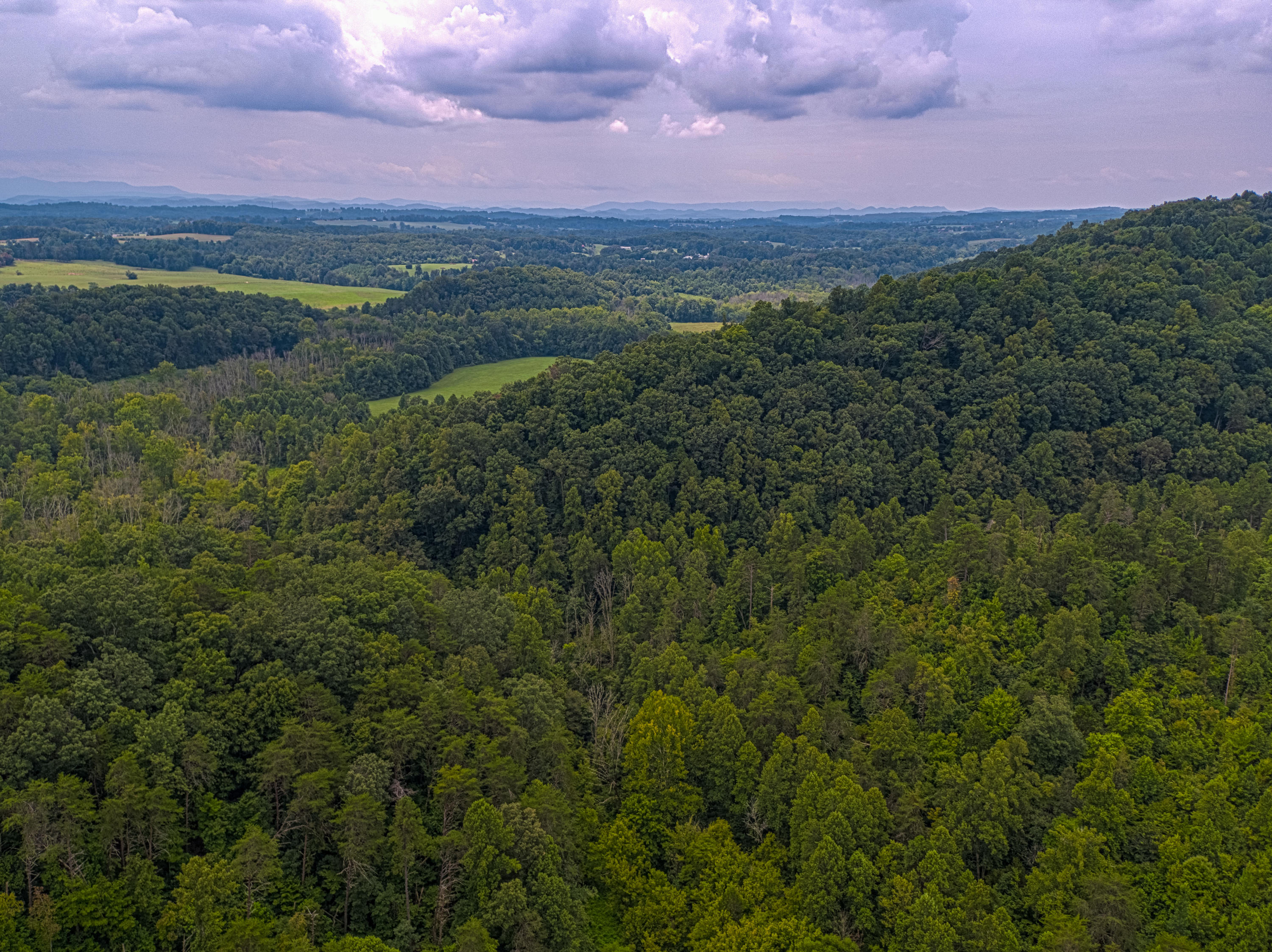 Acorn Gap Road Sweetwater, TN 37874 - Photo 2 of 15 Untitled_HDR2