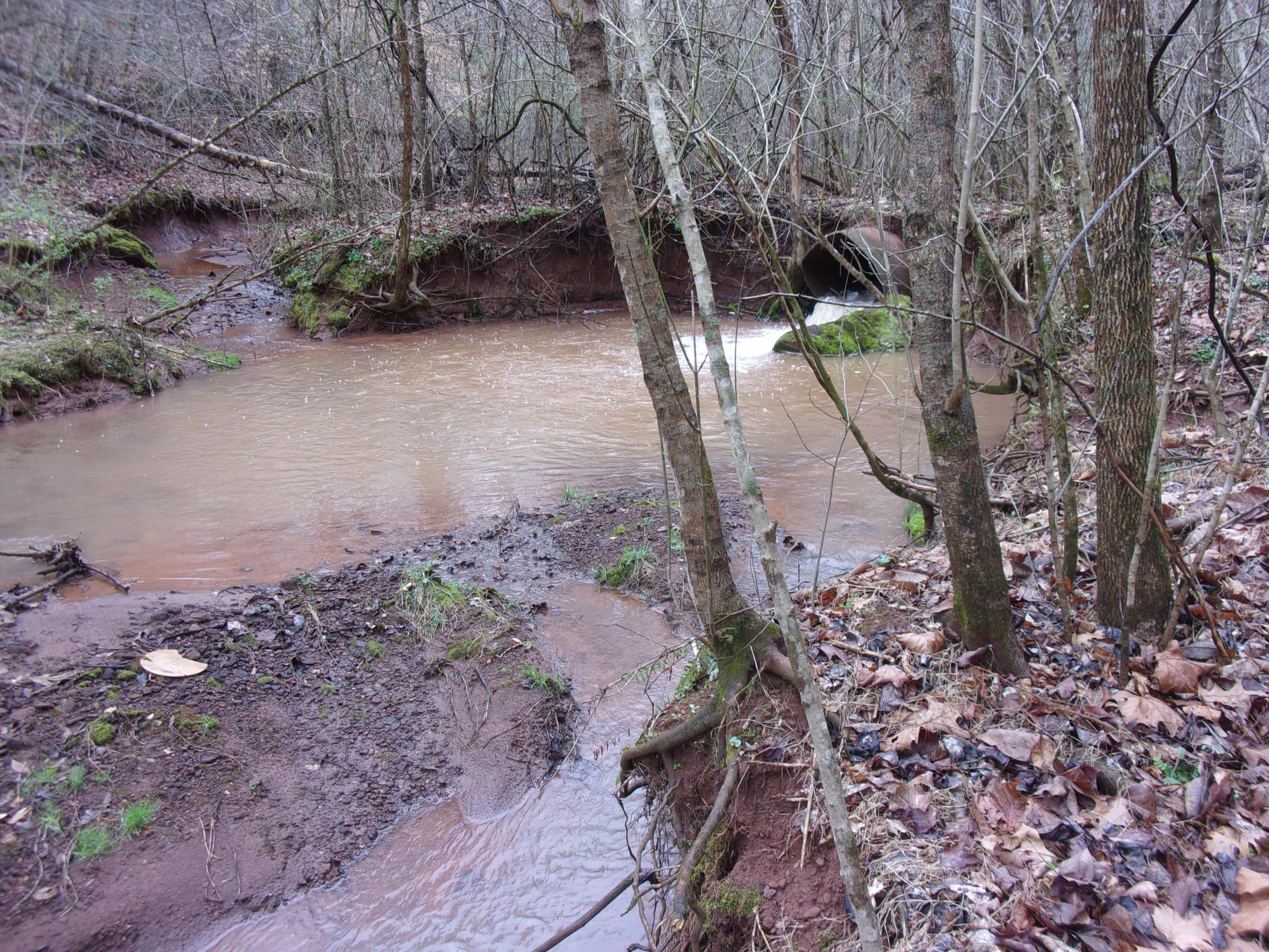 Acorn Gap Road Sweetwater, TN 37874 - Photo 14 of 15 100_0357