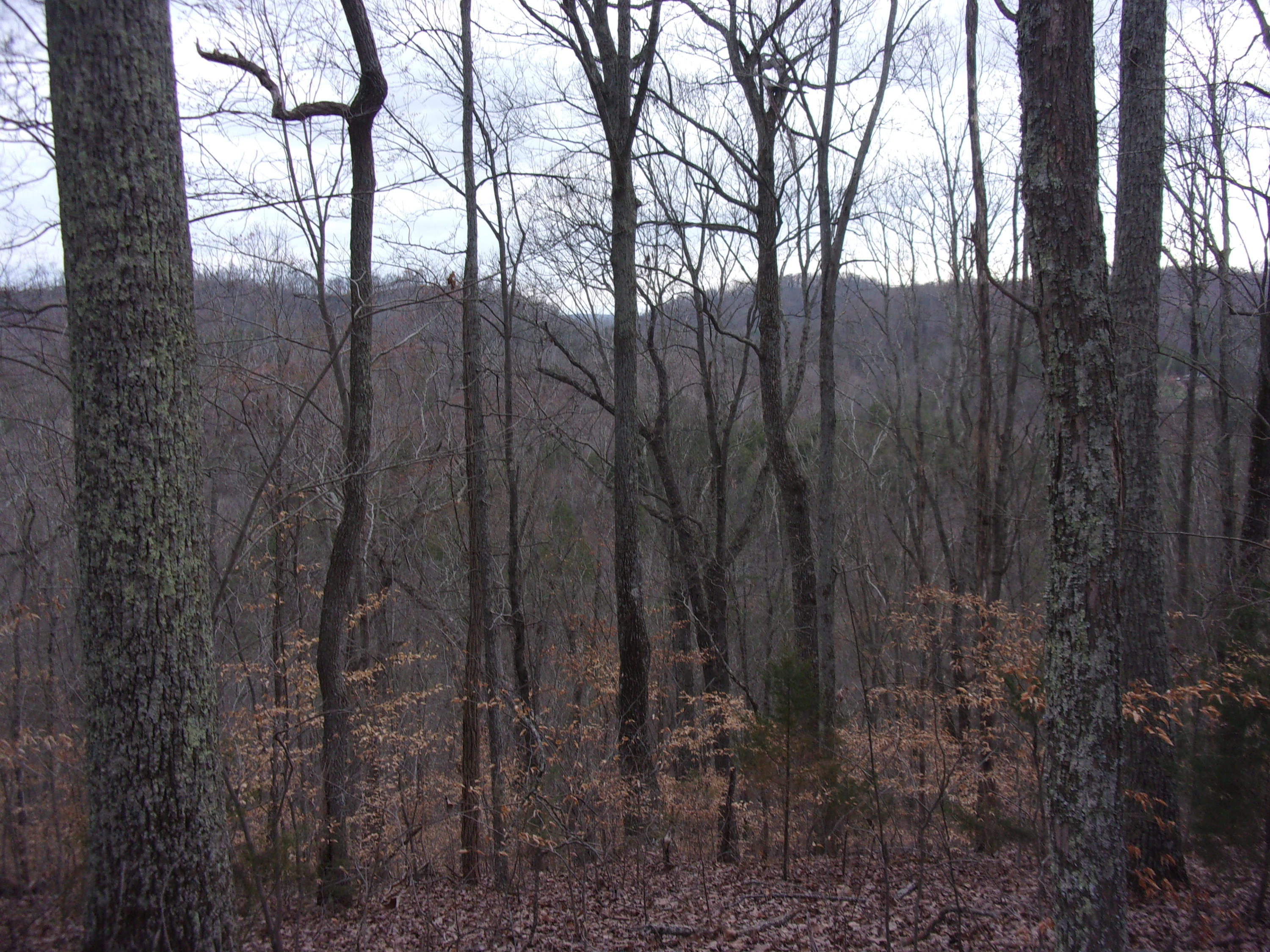 Acorn Gap Road Sweetwater, TN 37874 - Photo 15 of 15 100_0348