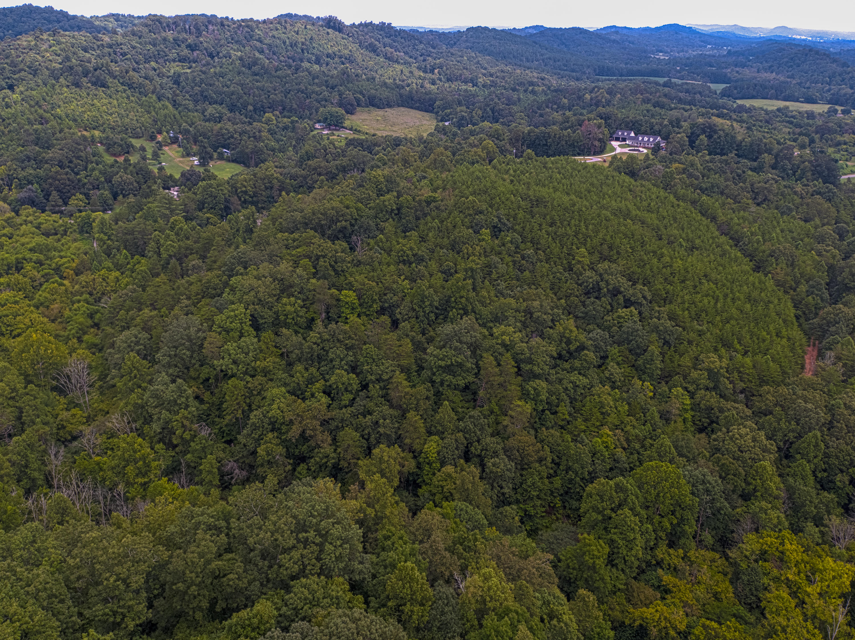 Acorn Gap Road Sweetwater, TN 37874 - Photo 4 of 15 Untitled_HDR6