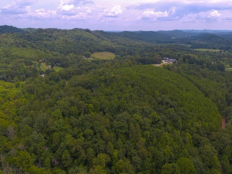 Acorn Gap Road Sweetwater, TN 37874 - Photo 5 of 15 Untitled_HDR8