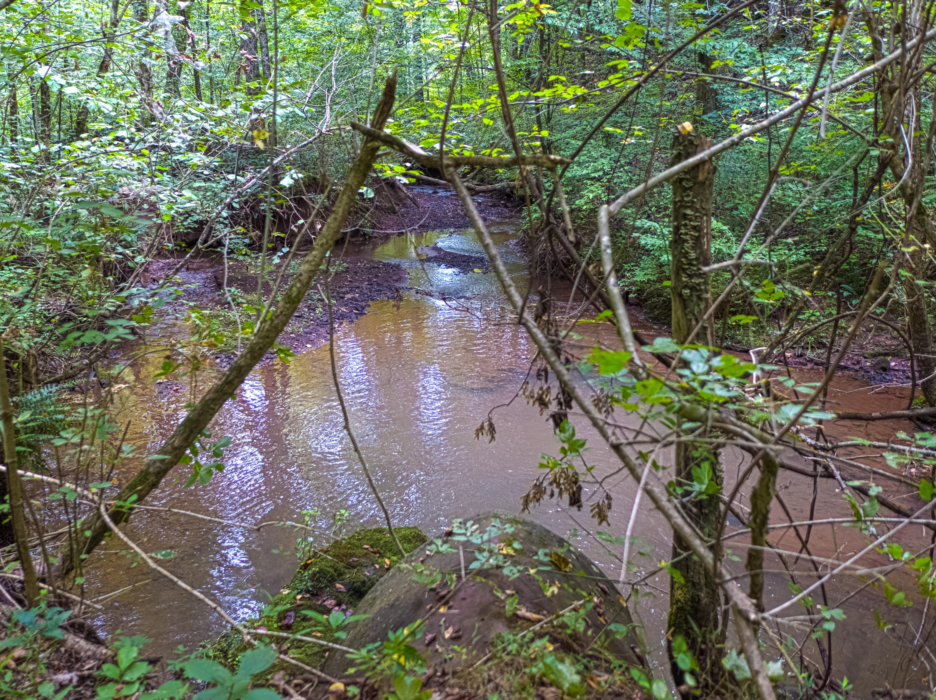 Acorn Gap Road Sweetwater, TN 37874 - Photo 6 of 15 Untitled_HDR10