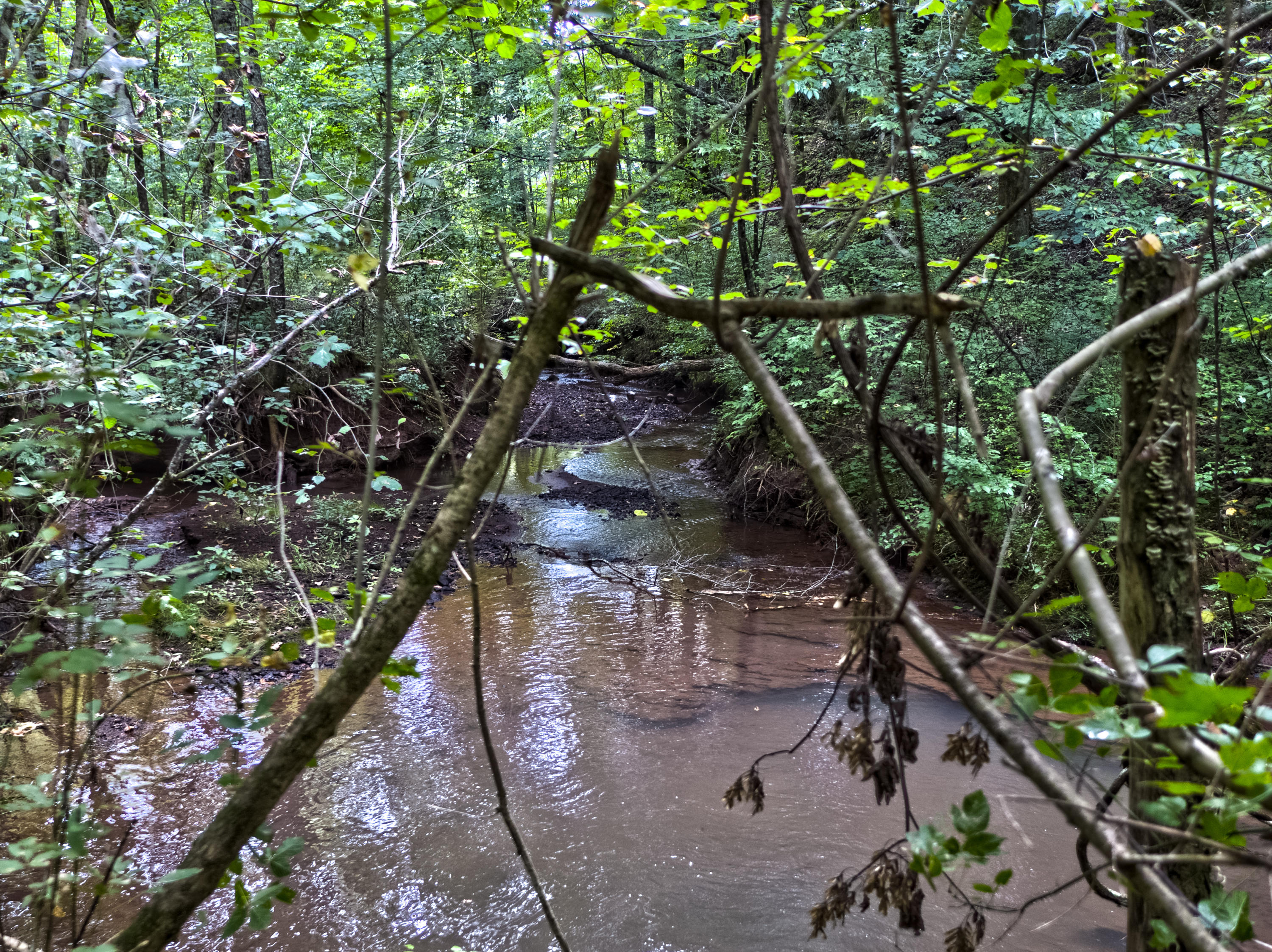Acorn Gap Road Sweetwater, TN 37874 - Photo 7 of 15 Untitled_HDR11