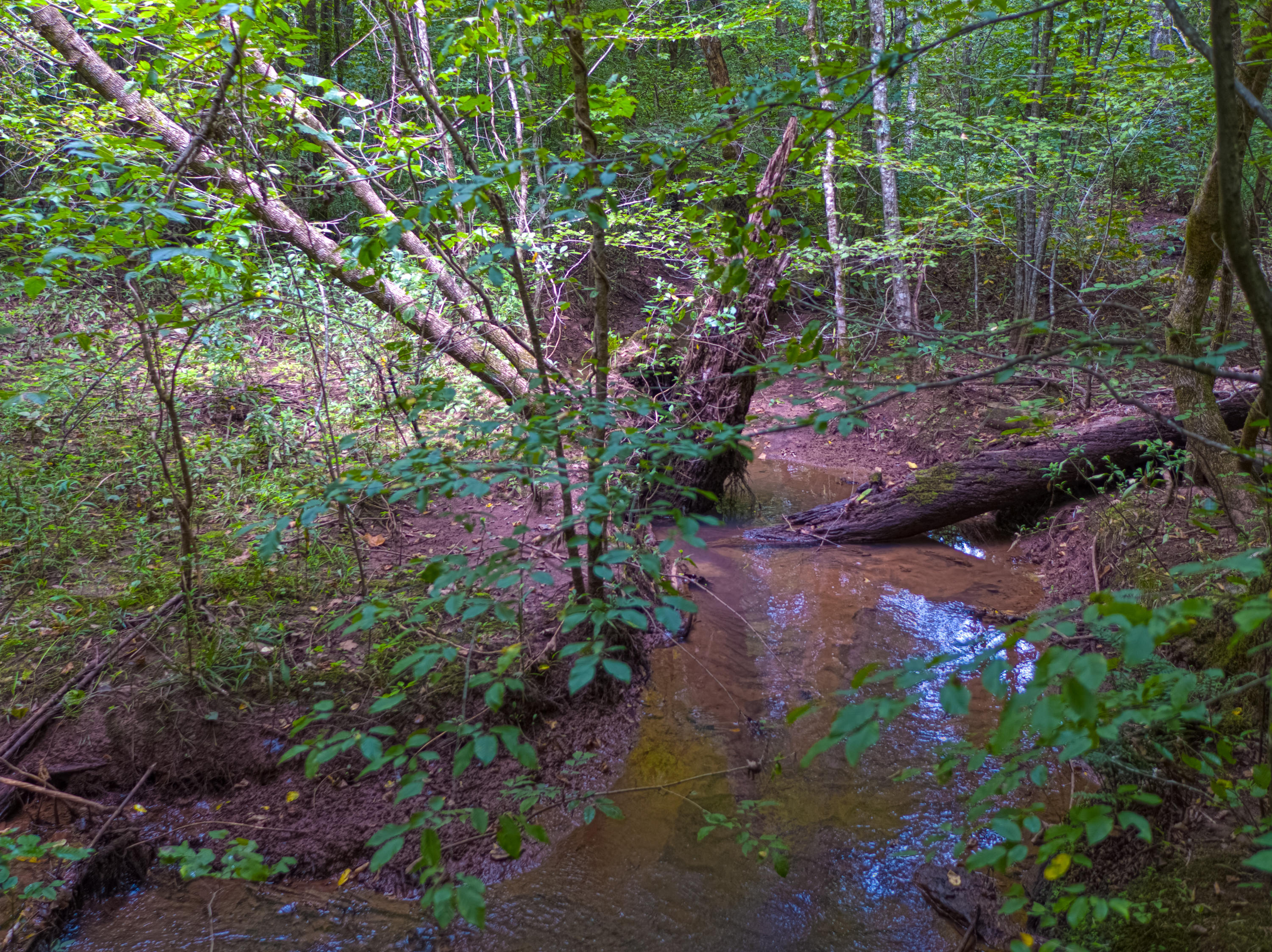 Acorn Gap Road Sweetwater, TN 37874 - Photo 8 of 15 Untitled_HDR12