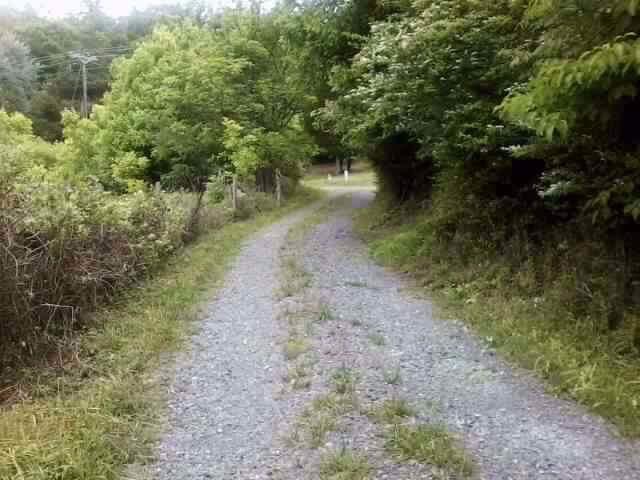 Acorn Gap Road Sweetwater, TN 37874 - Photo 10 of 15 IMG_3012
