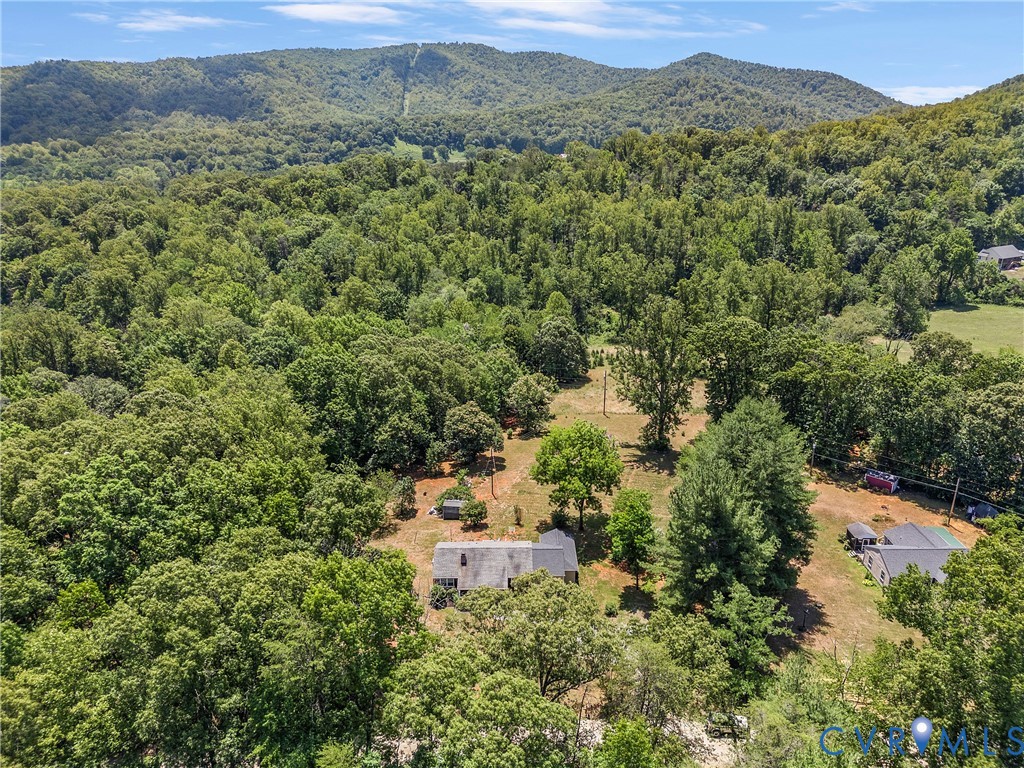 5949 Broken Sun Road Covesville, VA 22931 - Photo 43 of 48