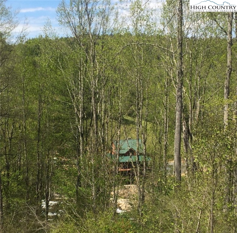 Clint Gilley Road, Unit 287 Warrensville, NC 28693 - Photo 8 of 22 Gallery Image 8