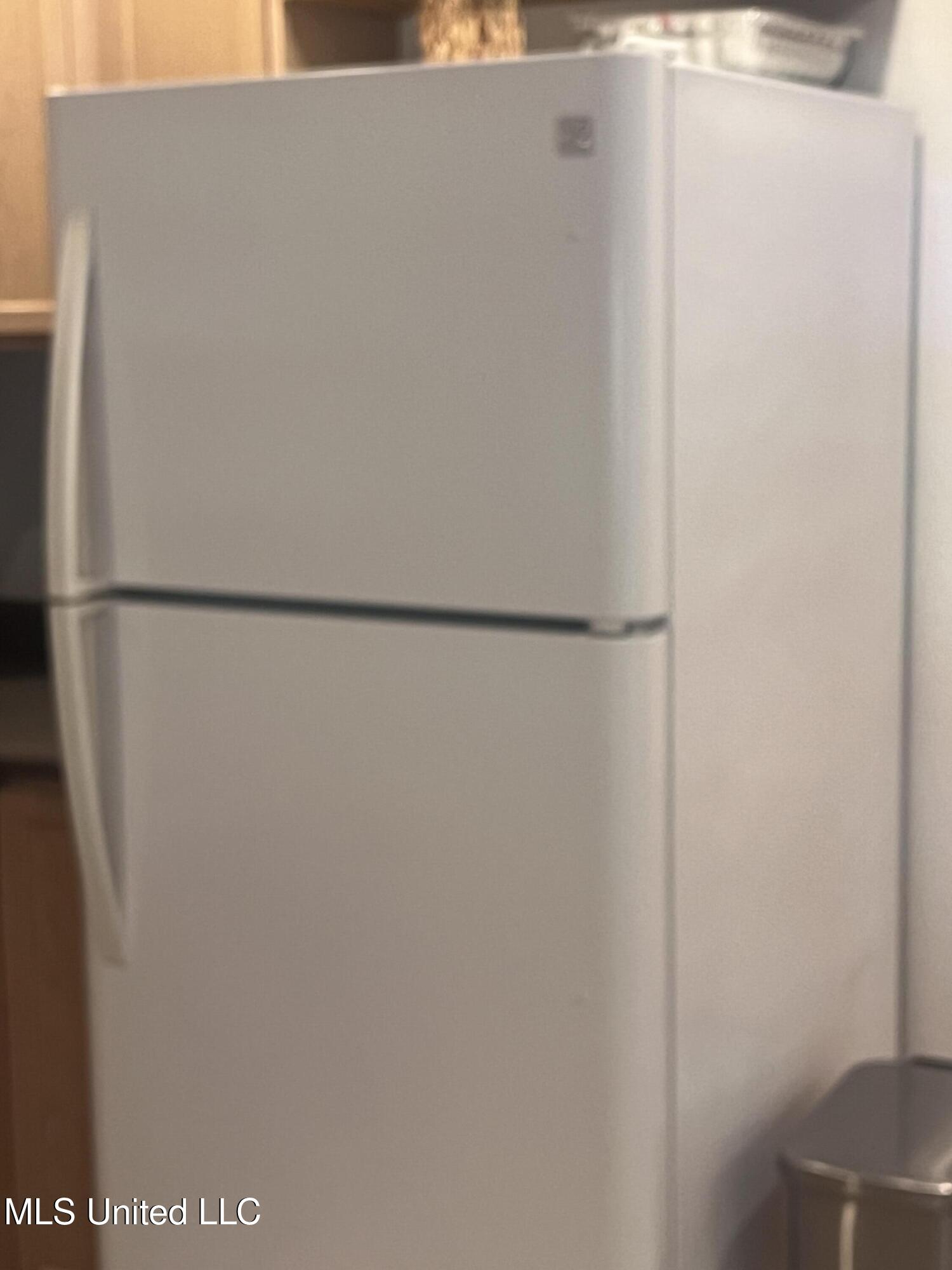 10653 Ben Lomond Cove Hernando, MS 38632 - Photo 18 of 27 IMG_7462