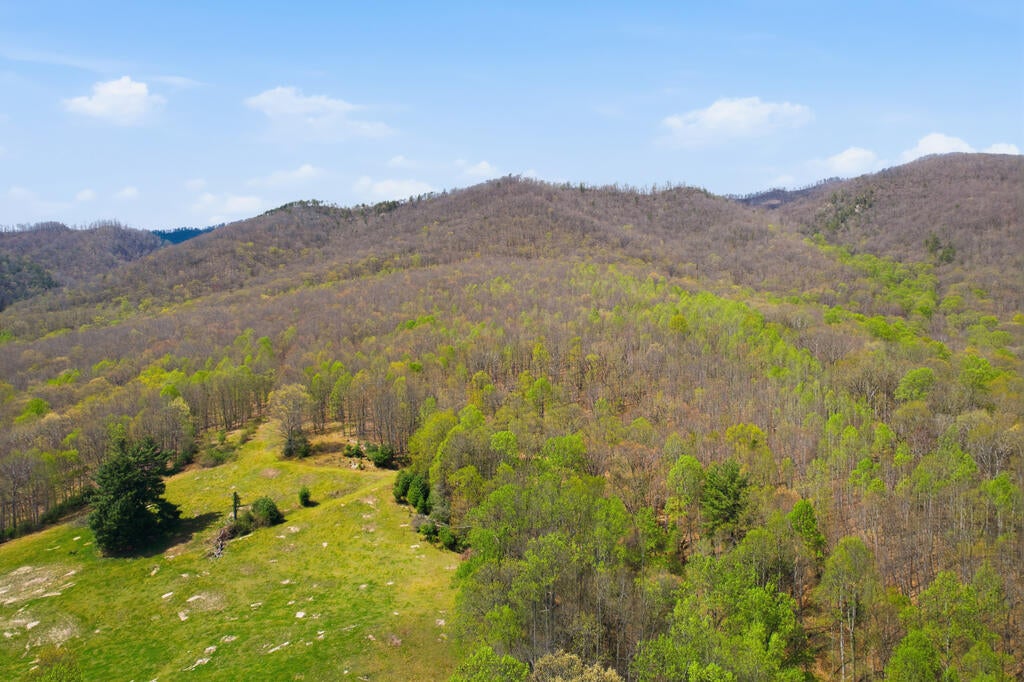4020 Freestone Valley Road Tannersville, VA 24377 - Photo 63 of 109 Gallery Image 63