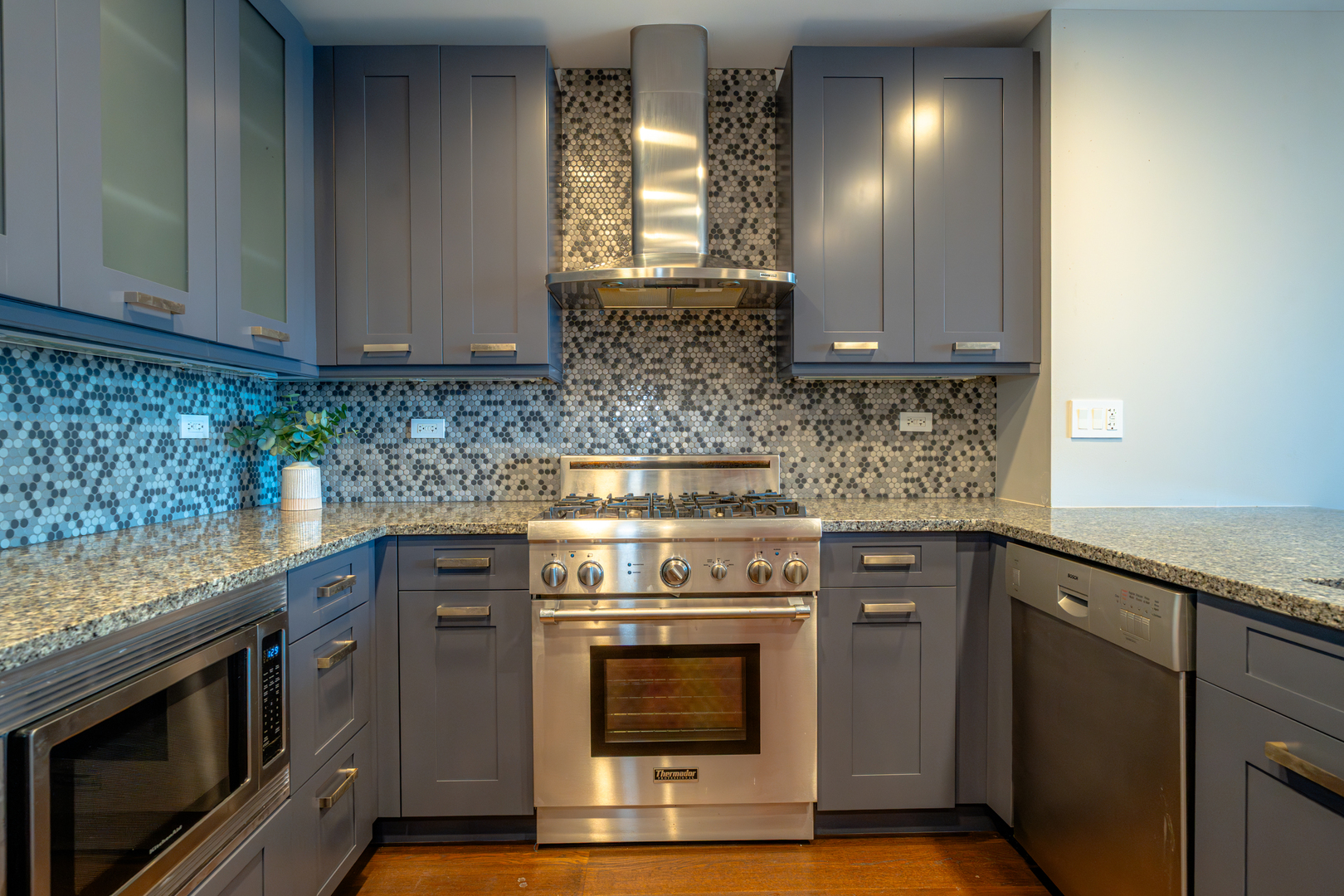 240 East Illinois Street, Unit 1606 Chicago, IL 60611 - Photo 3 of 22 a kitchen with stainless steel appliances granite countertop a stove a sink and a microwave