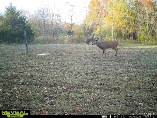 $725,000 | 2 Whitetail Rdg Road, Eolia, MO 63344