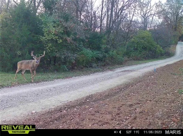 $725,000 | 2 Whitetail Rdg Road, Eolia, MO 63344