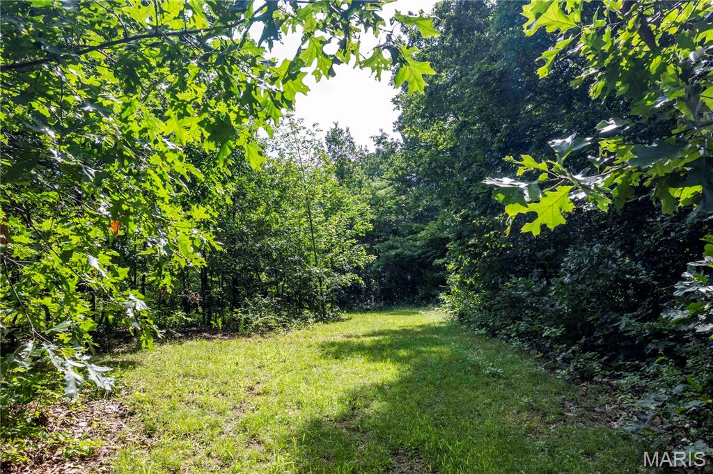 2 Whitetail Rdg Road Eolia, MO 63344 - Photo 45 of 89