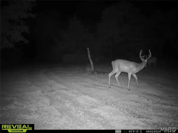$725,000 | 2 Whitetail Rdg Road, Eolia, MO 63344