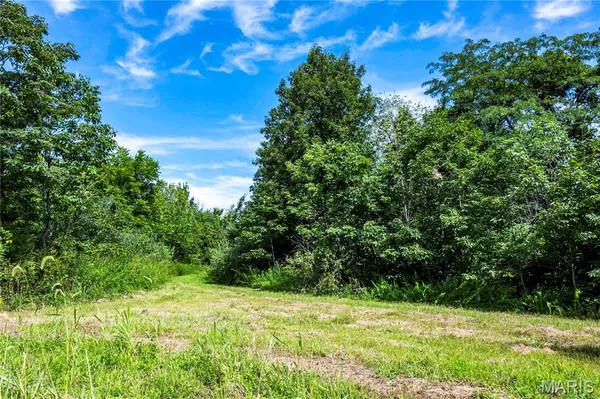 $725,000 | 2 Whitetail Rdg Road, Eolia, MO 63344
