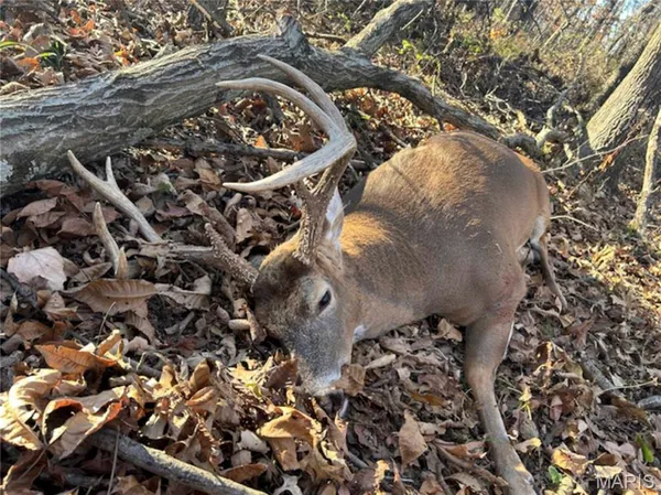 $725,000 | 2 Whitetail Rdg Road, Eolia, MO 63344