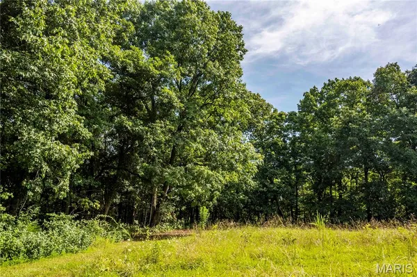 $725,000 | 2 Whitetail Rdg Road, Eolia, MO 63344
