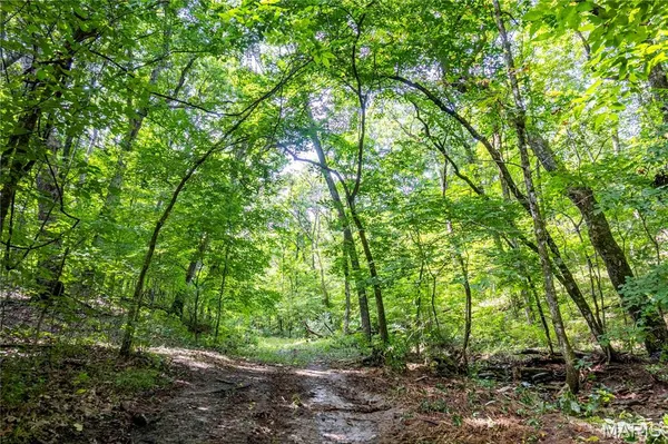 $725,000 | 2 Whitetail Rdg Road, Eolia, MO 63344