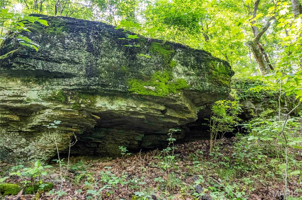 2 Whitetail Rdg Road Eolia, MO 63344 - Photo 77 of 89