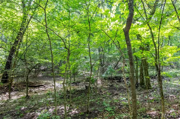 $725,000 | 2 Whitetail Rdg Road, Eolia, MO 63344