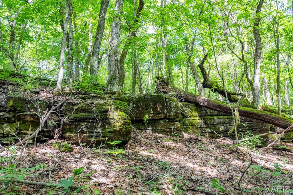 2 Whitetail Rdg Road Eolia, MO 63344 - Photo 81 of 89