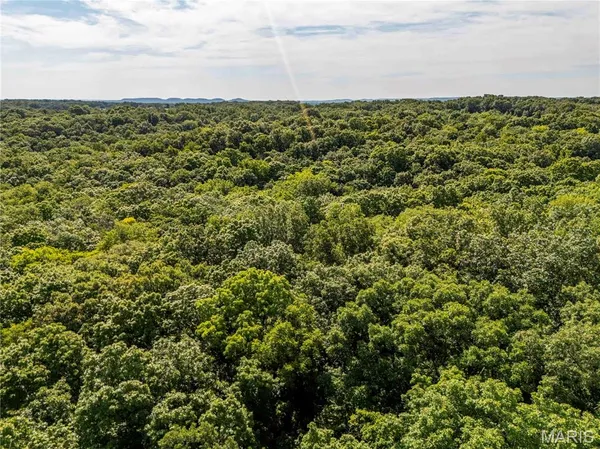$725,000 | 2 Whitetail Rdg Road, Eolia, MO 63344