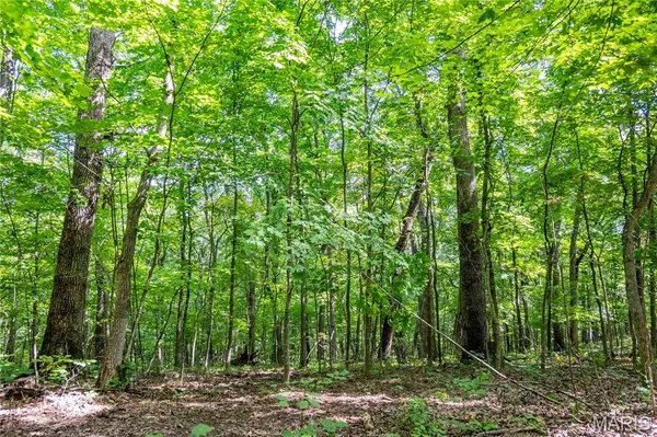 $725,000 | 2 Whitetail Rdg Road, Eolia, MO 63344