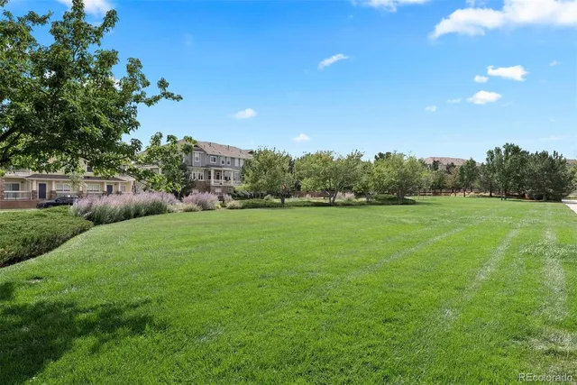 a view of yard with green space