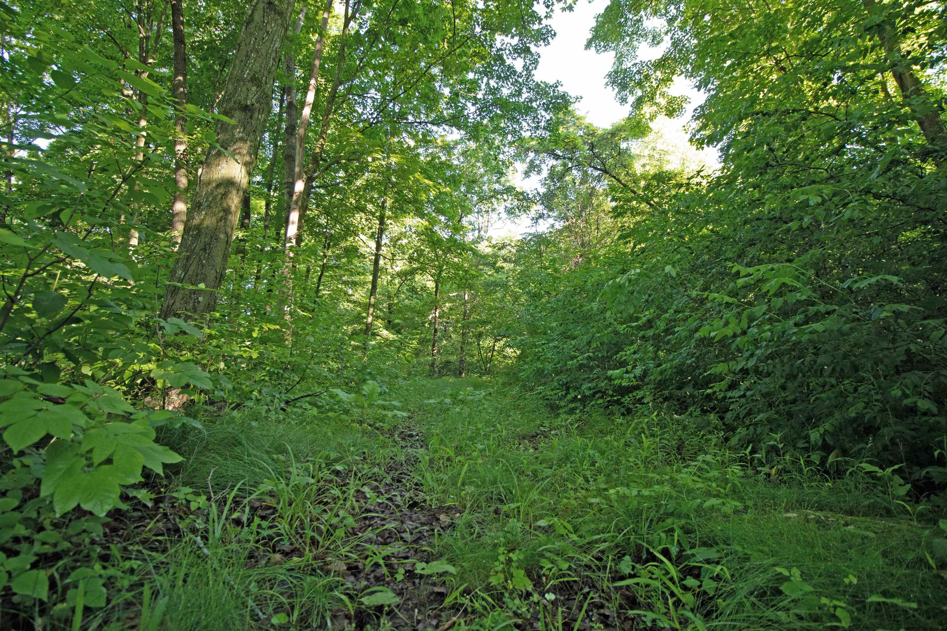 76-acres Skyline Road Blue River, WI 53518 - Photo 7 of 46