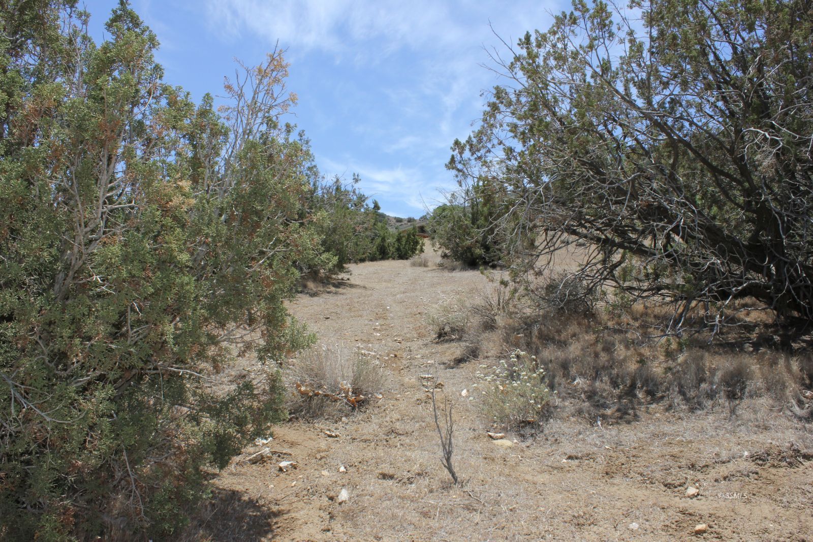 7348 Cyrus Canyon Road Kernville, CA 93238 - Photo 29 of 33