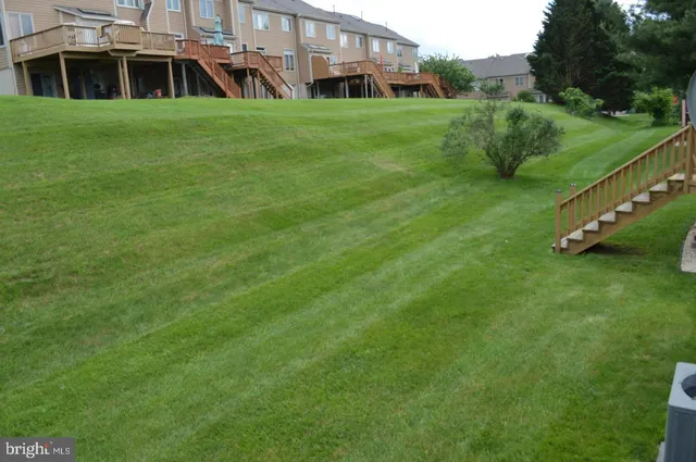 a view of a big yard with large trees