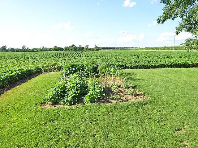 3725 North Eden Road Elmwood, IL 61529 - Photo 10 of 18 Gallery Image 10