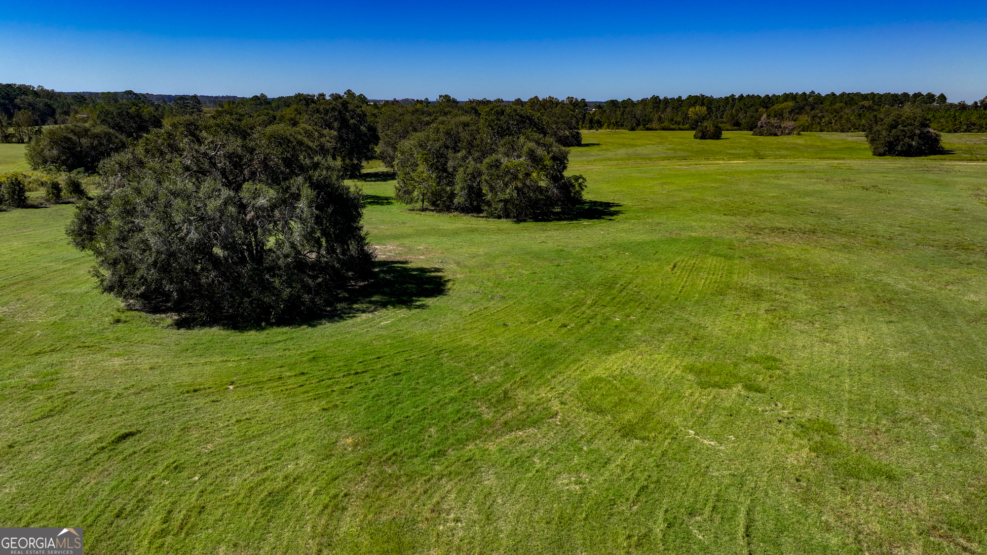 0 Ralph Keen Road East Dublin, GA 31027 - Photo 13 of 42