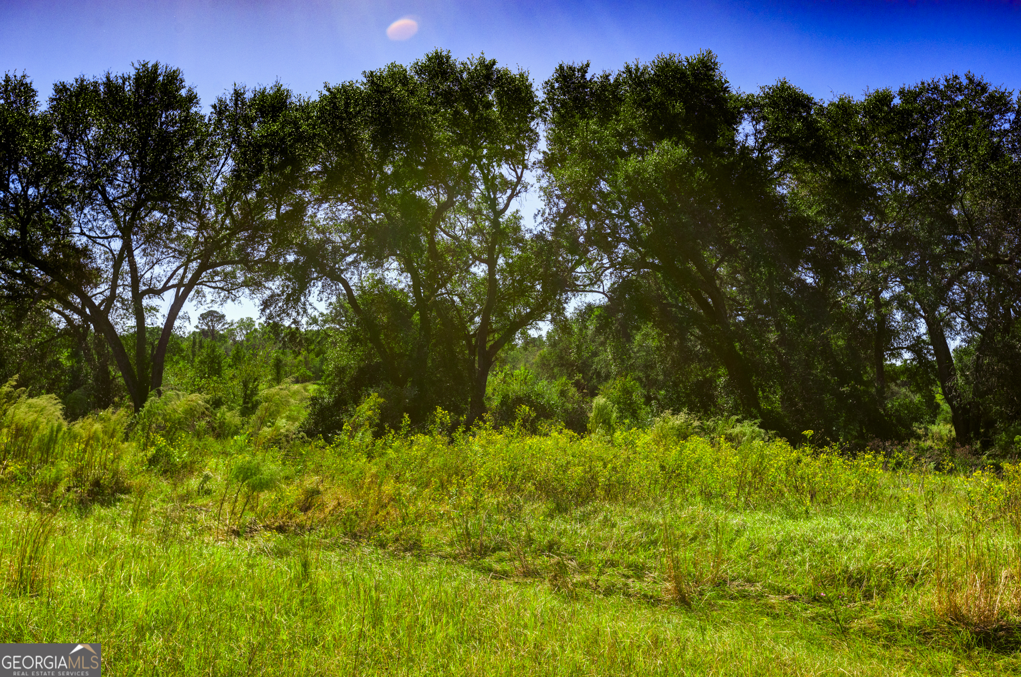 0 Ralph Keen Road East Dublin, GA 31027 - Photo 20 of 42