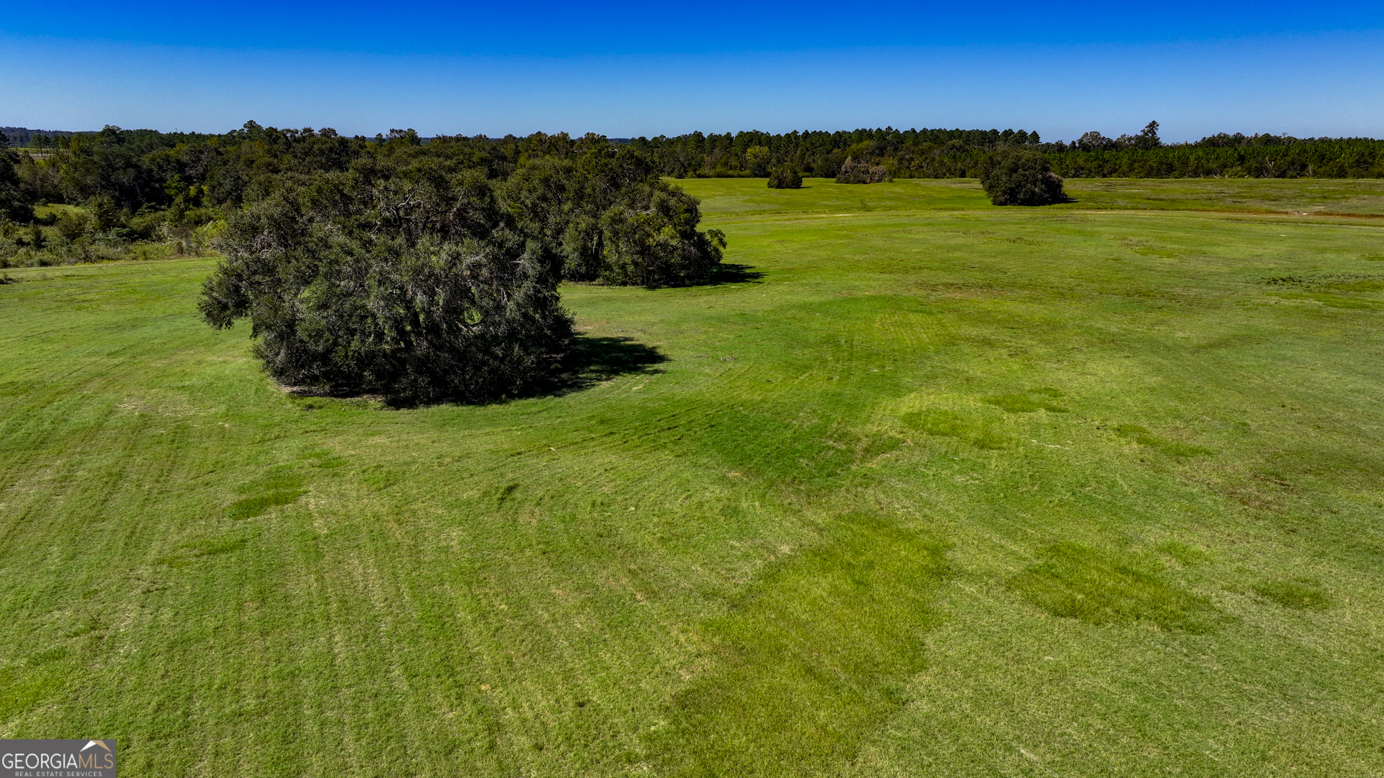 0 Ralph Keen Road East Dublin, GA 31027 - Photo 2 of 42