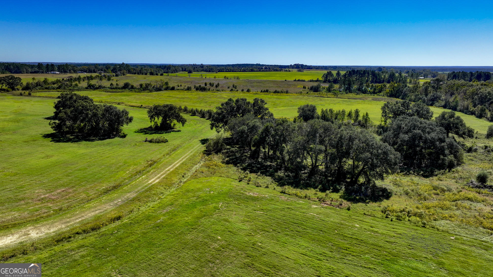 0 Ralph Keen Road East Dublin, GA 31027 - Photo 29 of 42
