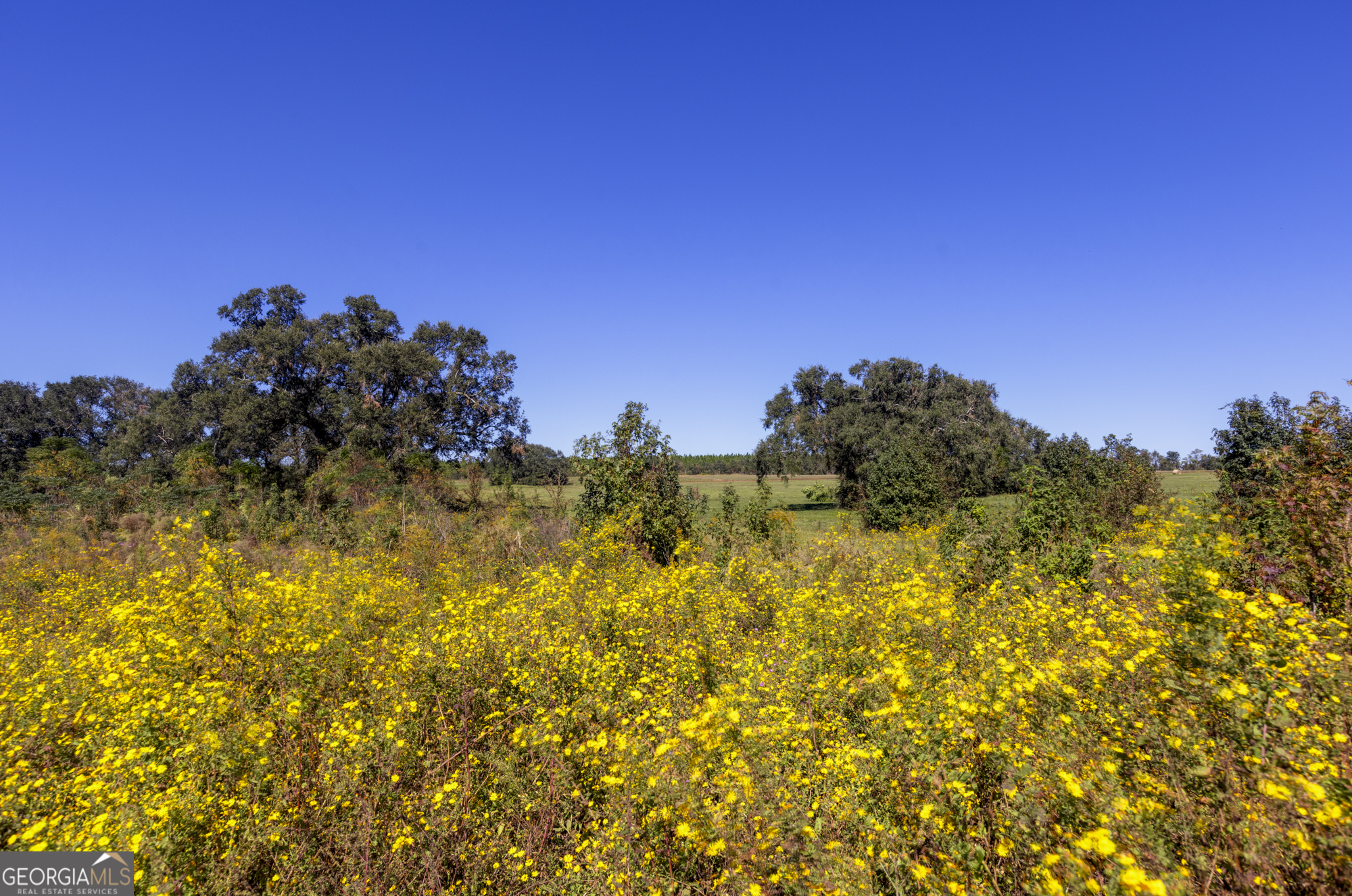 0 Ralph Keen Road East Dublin, GA 31027 - Photo 30 of 42