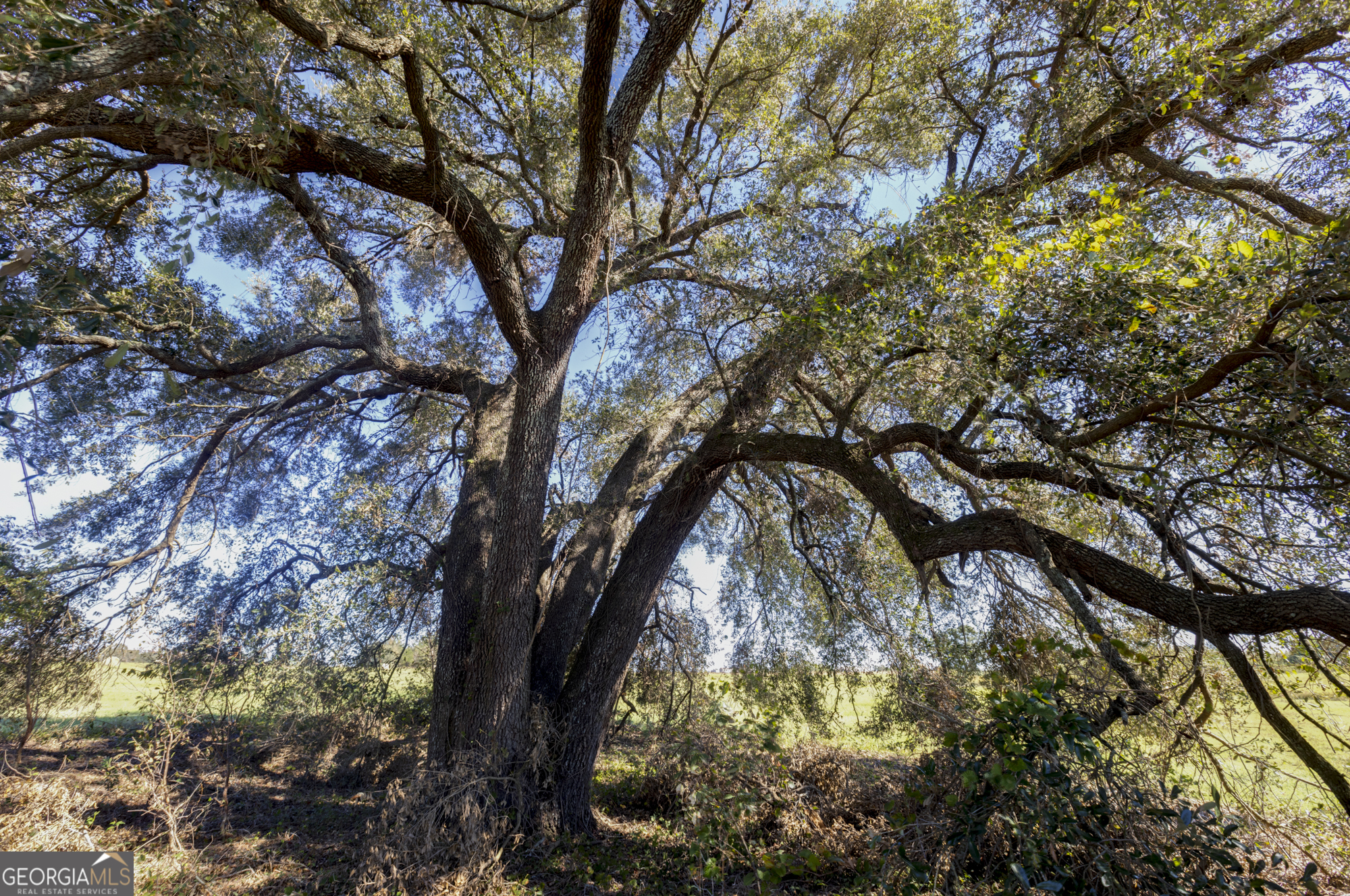 0 Ralph Keen Road East Dublin, GA 31027 - Photo 3 of 42