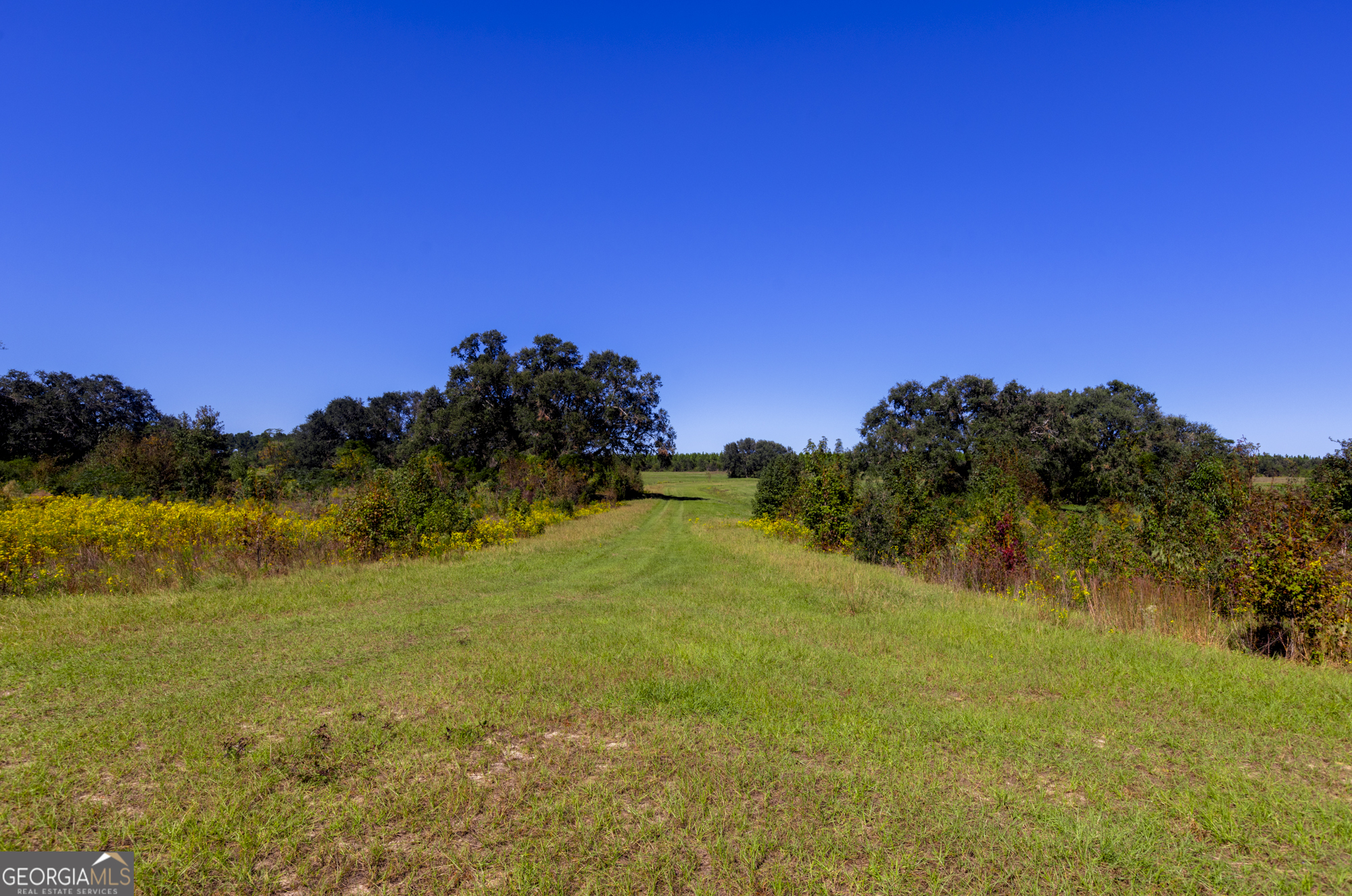 0 Ralph Keen Road East Dublin, GA 31027 - Photo 34 of 42