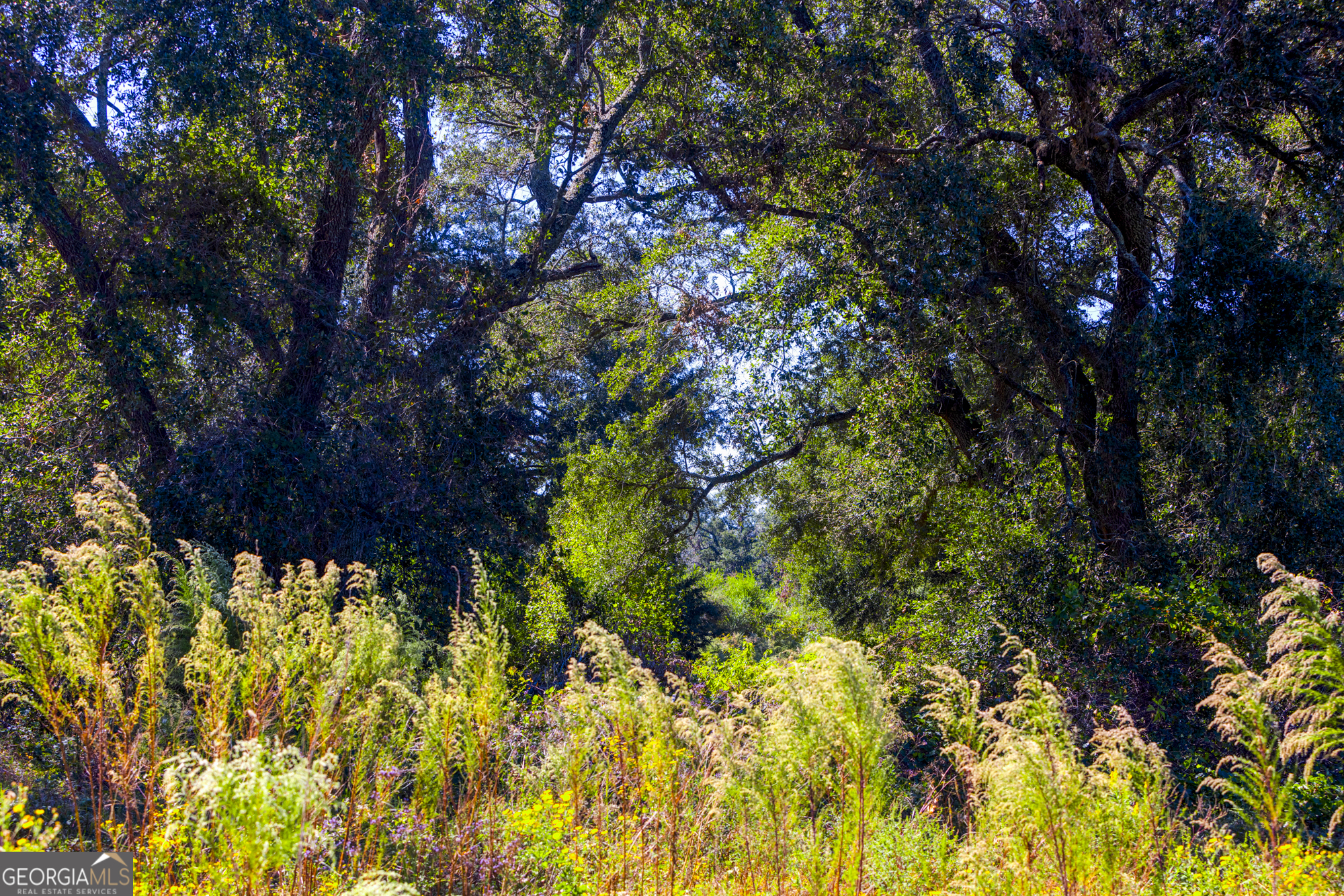 0 Ralph Keen Road East Dublin, GA 31027 - Photo 36 of 42