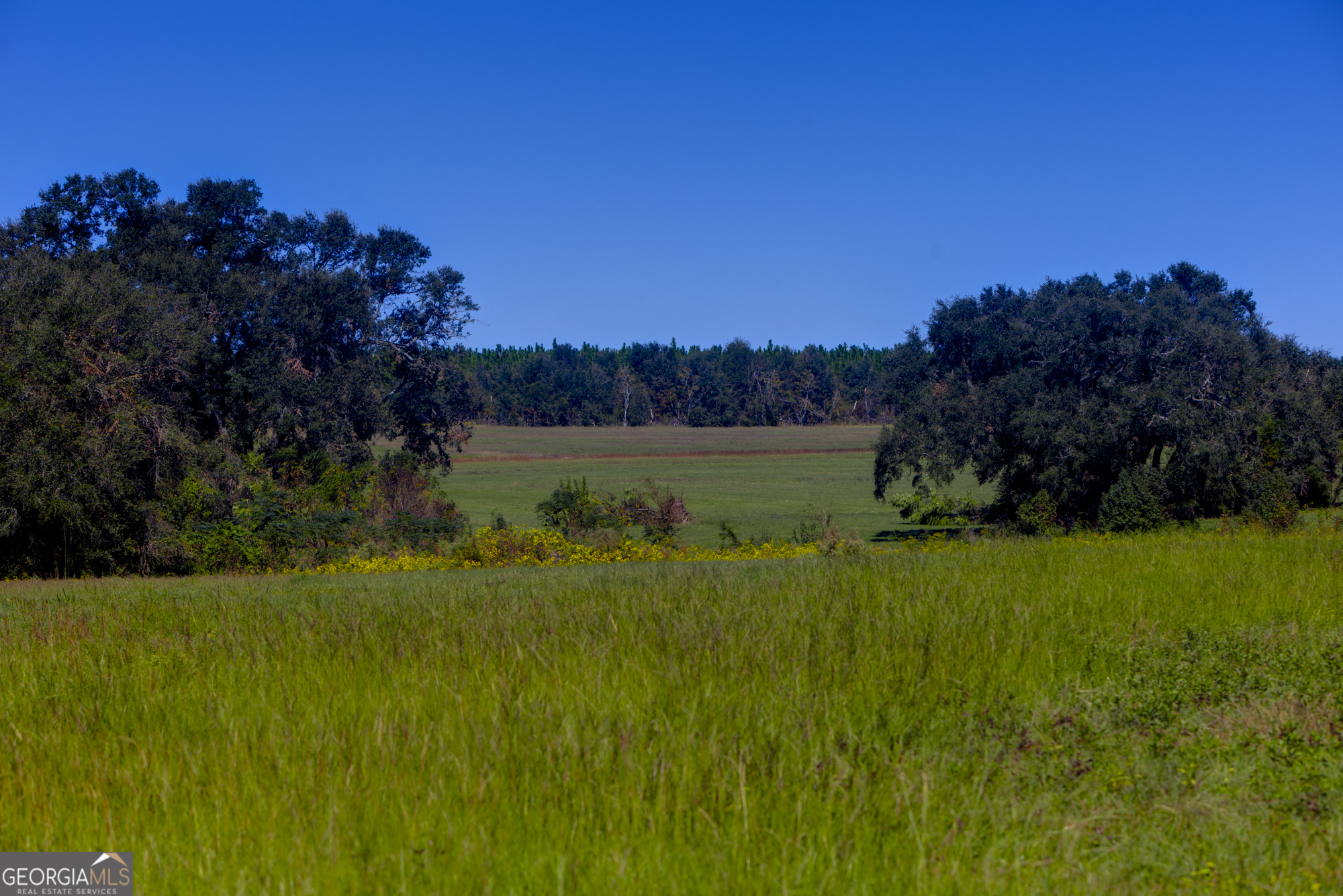0 Ralph Keen Road East Dublin, GA 31027 - Photo 37 of 42