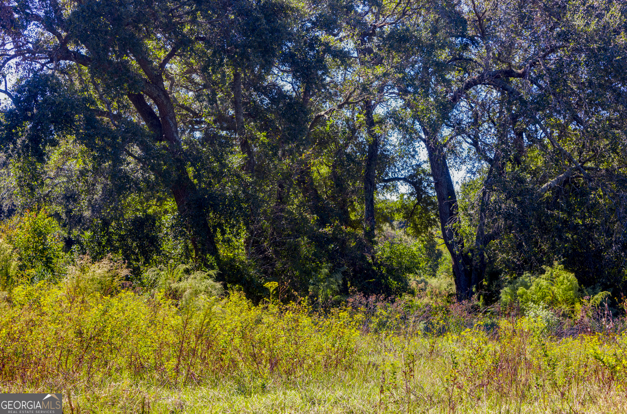 0 Ralph Keen Road East Dublin, GA 31027 - Photo 38 of 42