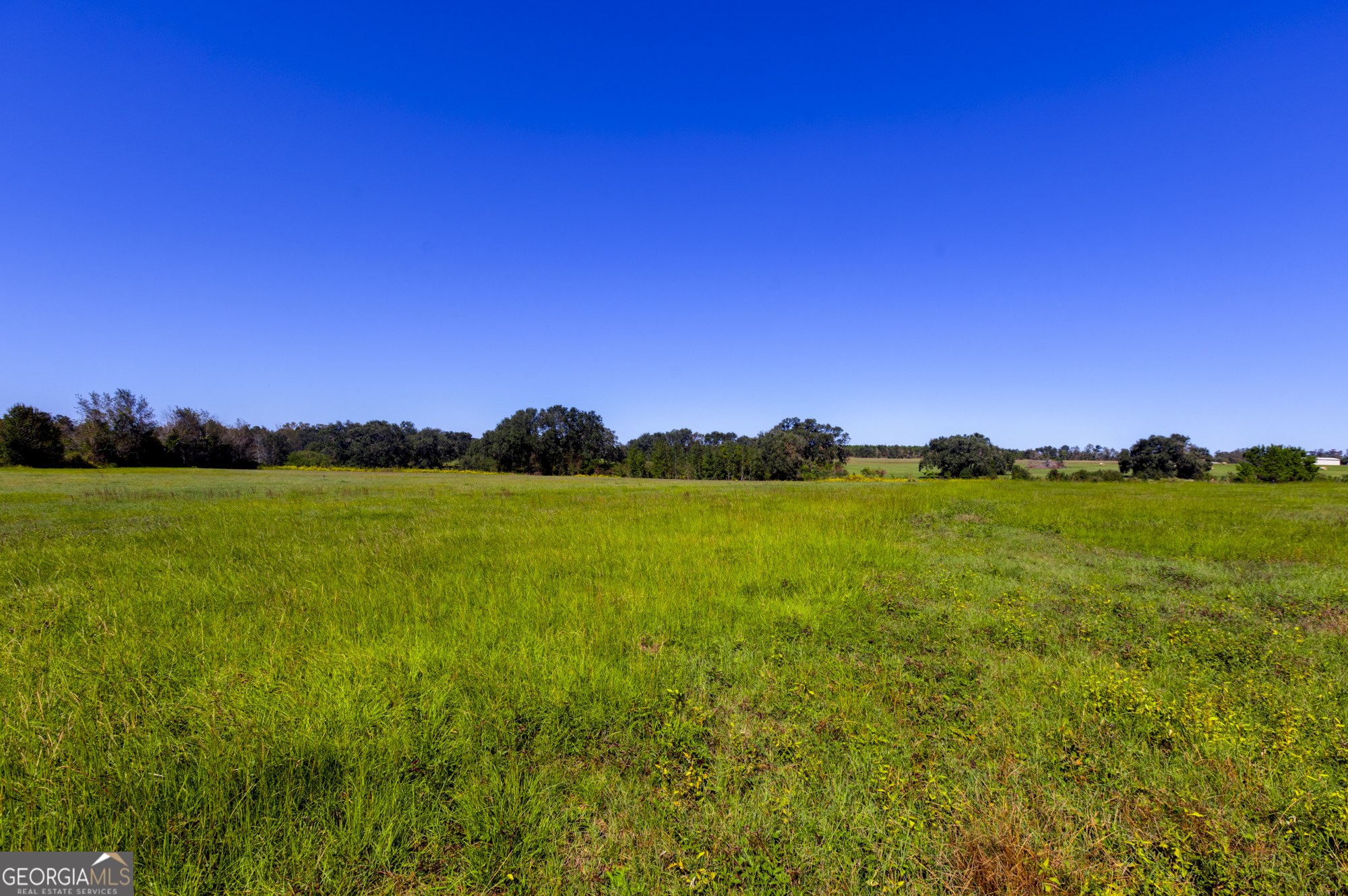 0 Ralph Keen Road East Dublin, GA 31027 - Photo 40 of 42