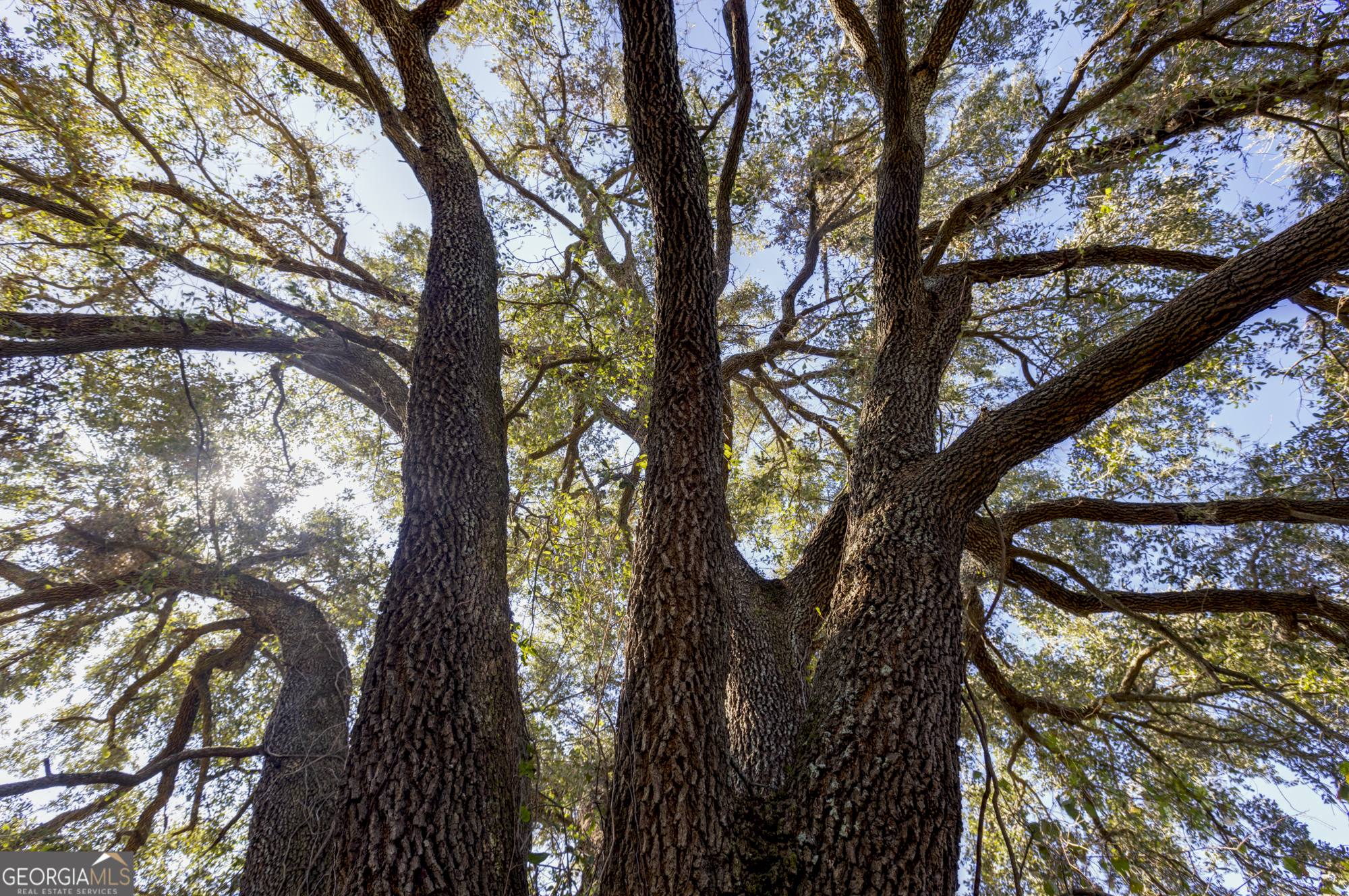 0 Ralph Keen Road East Dublin, GA 31027 - Photo 41 of 42