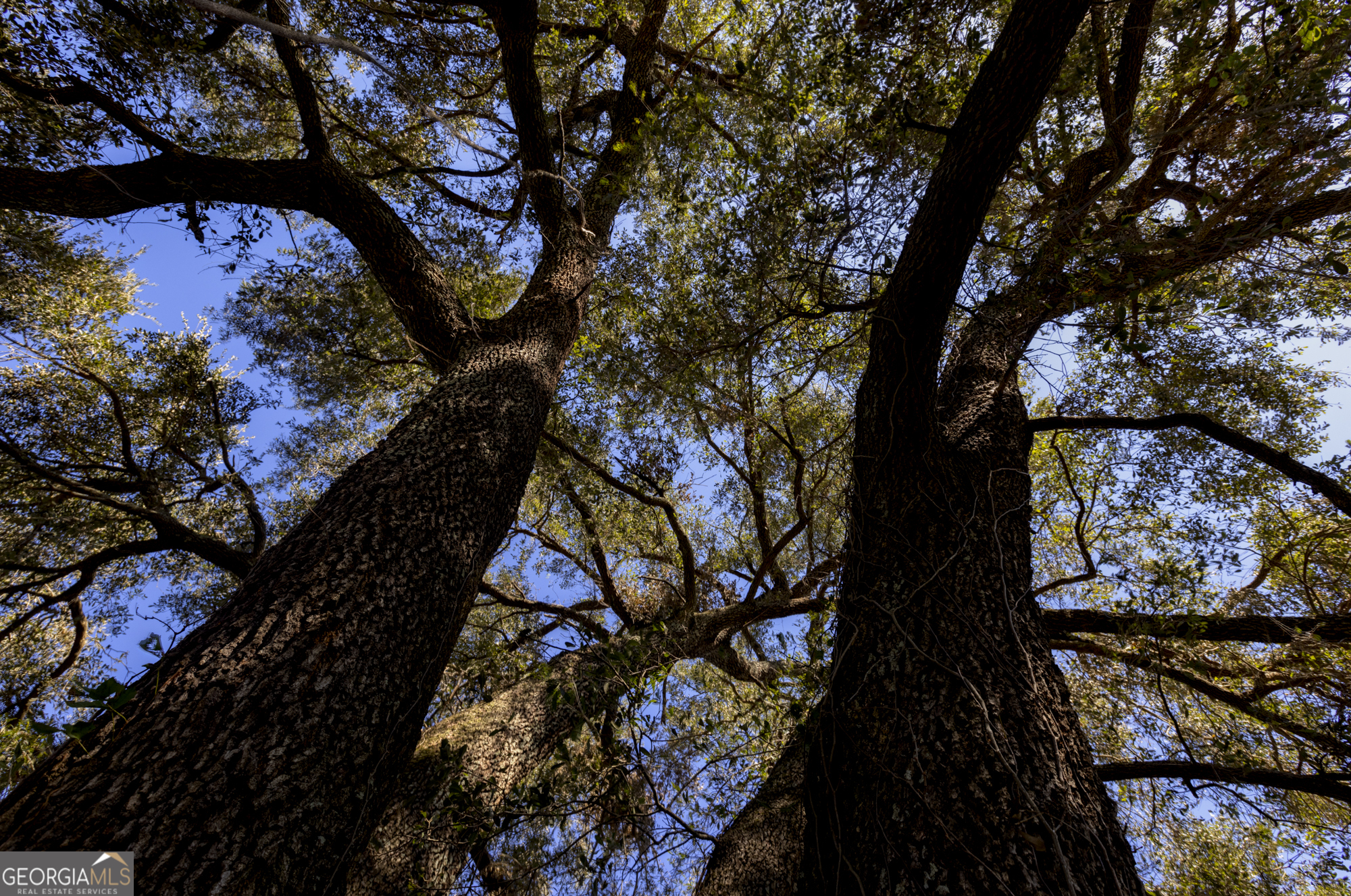 0 Ralph Keen Road East Dublin, GA 31027 - Photo 42 of 42