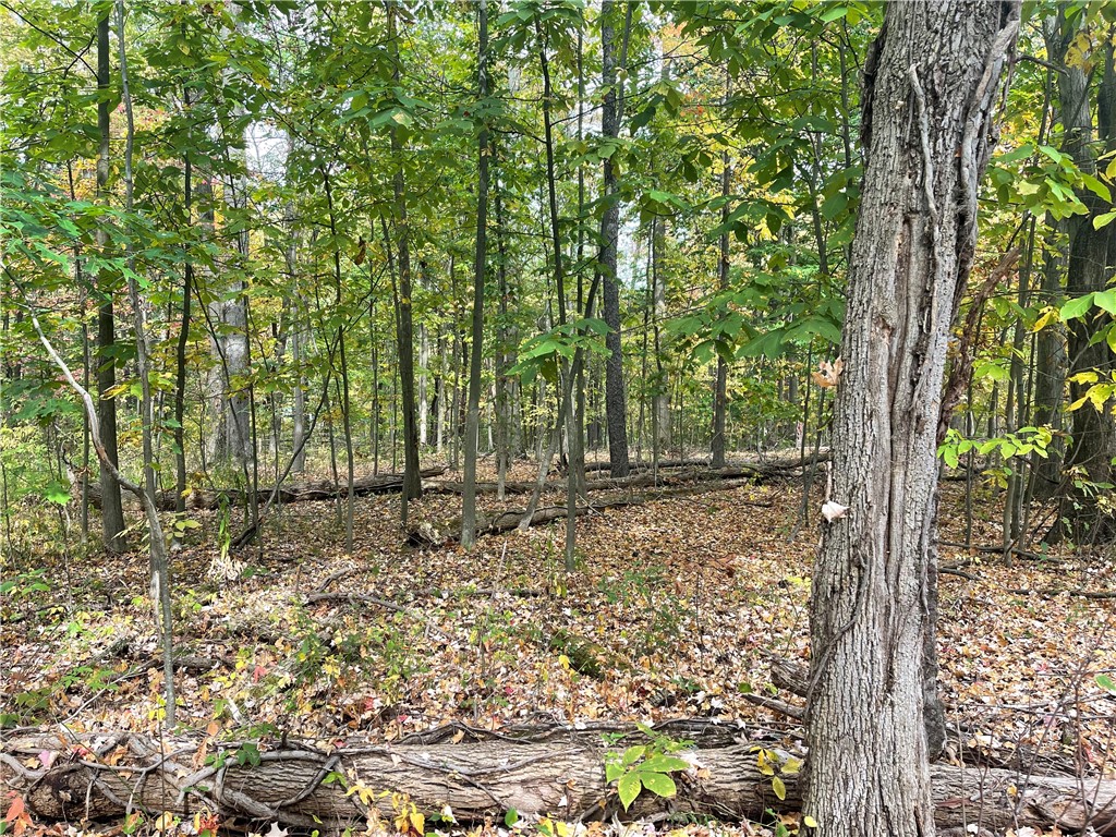 0 Penn Road Jamestown, PA 16134 - Photo 2 of 3