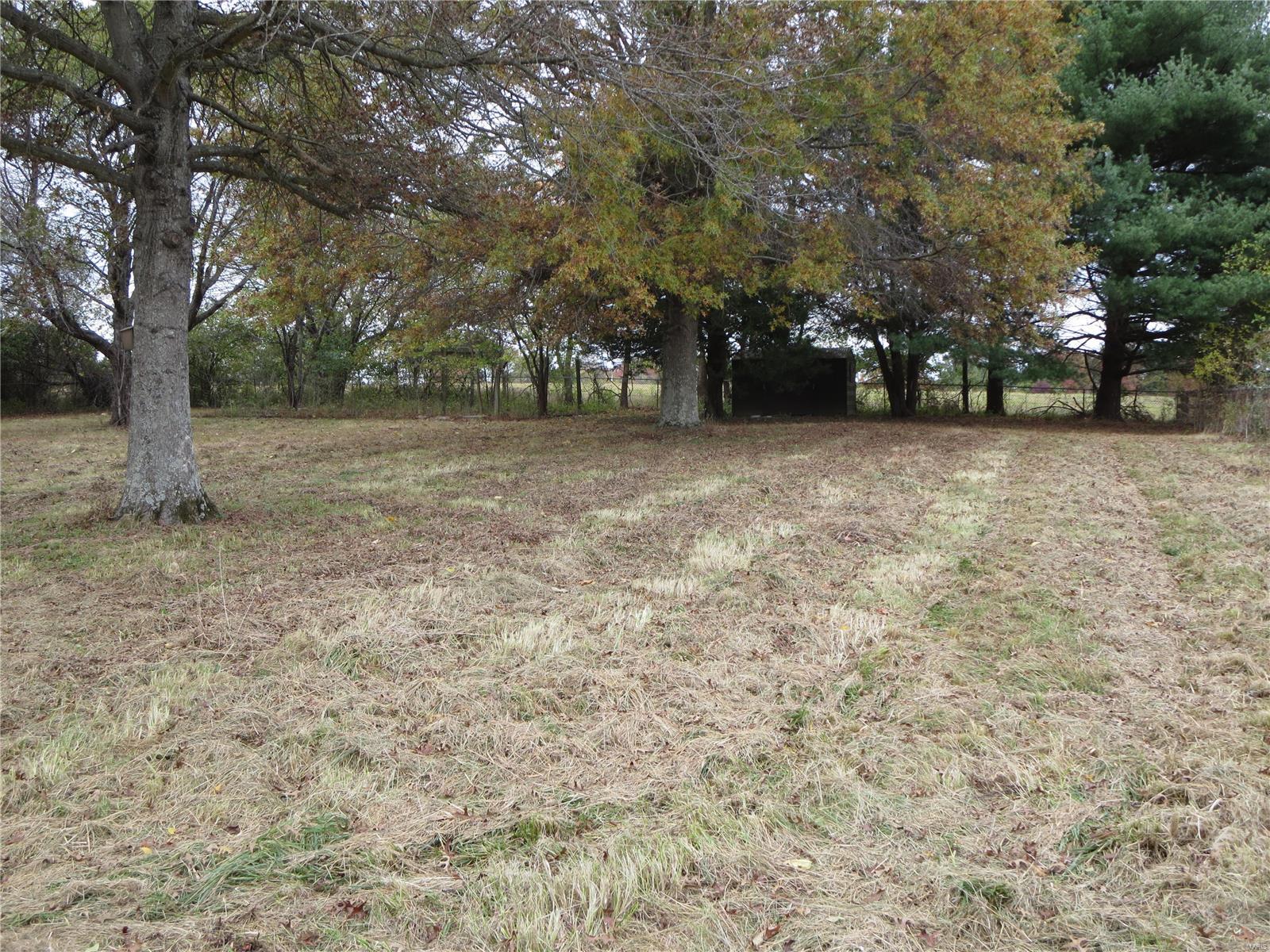 960 Sneed Road Carbondale, IL 62902 - Photo 10 of 56