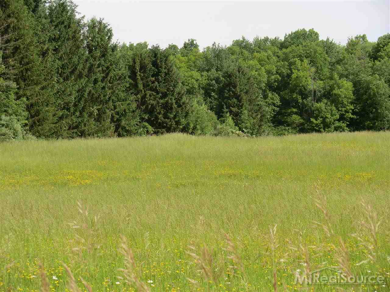 0 McIntyre Road North Street, MI 48049 - Photo 1 of 3
